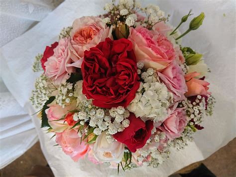 Eumundi Roses; Rose Nursery, Rose Farm, Fruit .